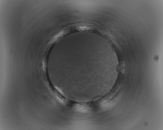 X0000095110763200712301736