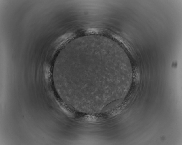 X0000095110764200712301736