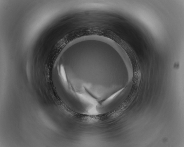 X0000095110765200712301736