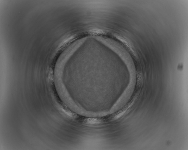 X0000095110766200712301736