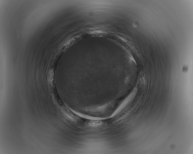 X0000095110767200712301736