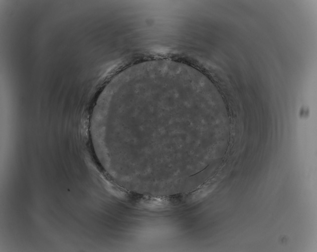 X0000095110768200712301736