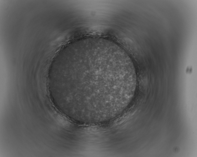 X0000095110769200712301735