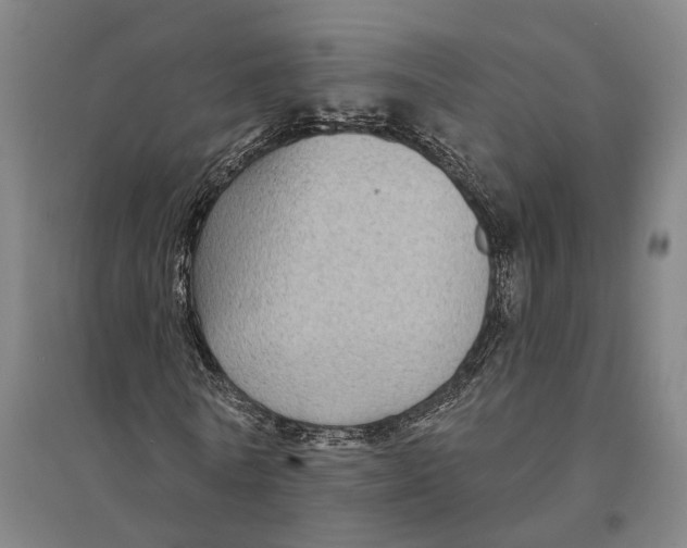 X0000095110770200712301735