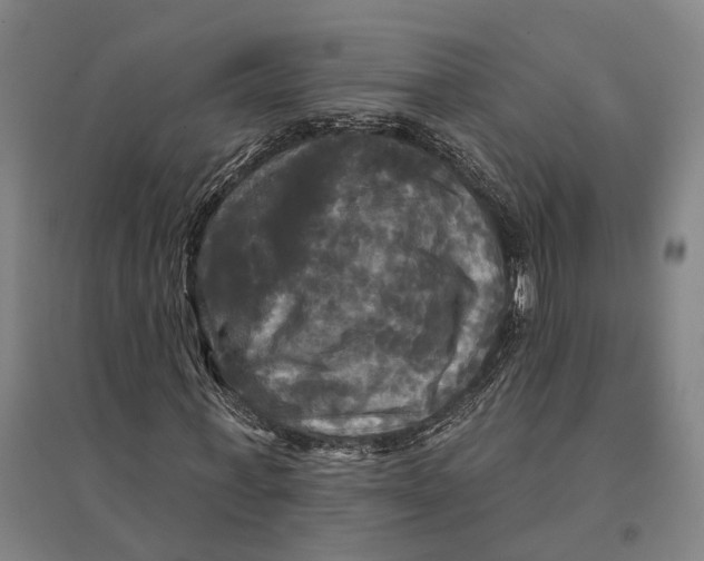 X0000095110771200712301735