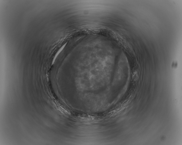 X0000095110772200712301735