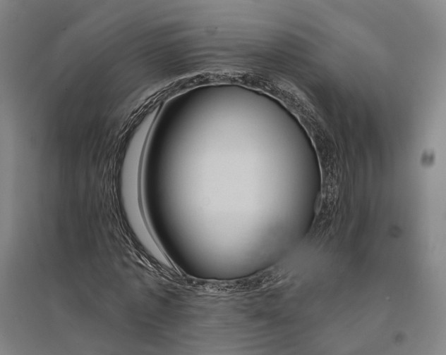 X0000095110773200712301735