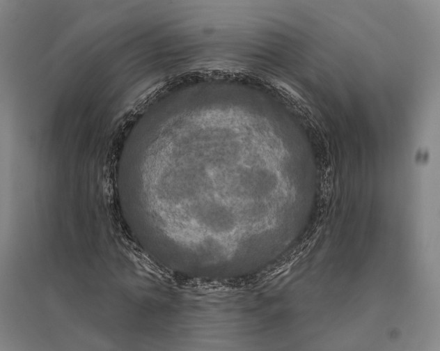 X0000095110774200712301735