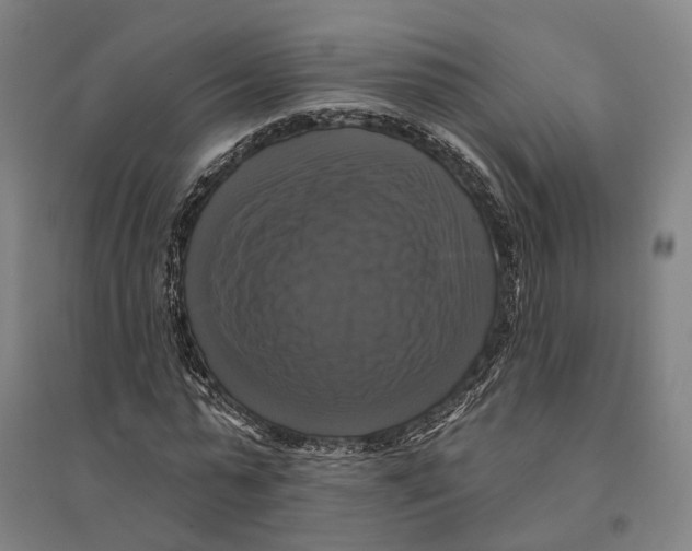 X0000095110775200712301735