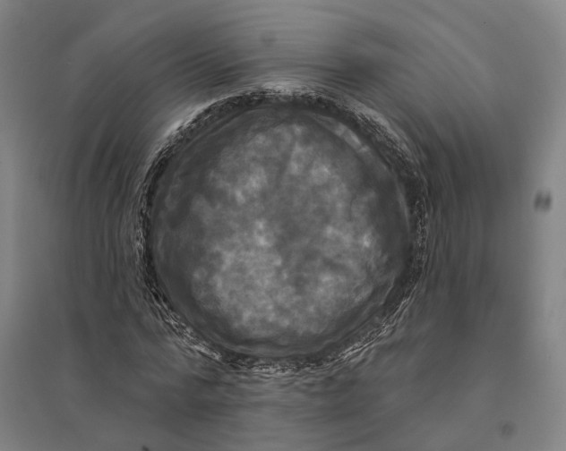 X0000095110776200712301735