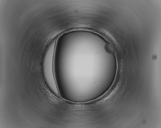 X0000095110777200712301735