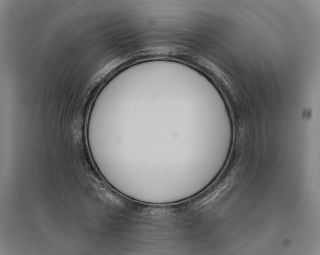 X0000095110778200712301735