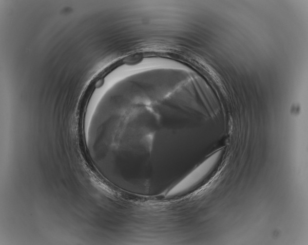 X0000095110779200712301735