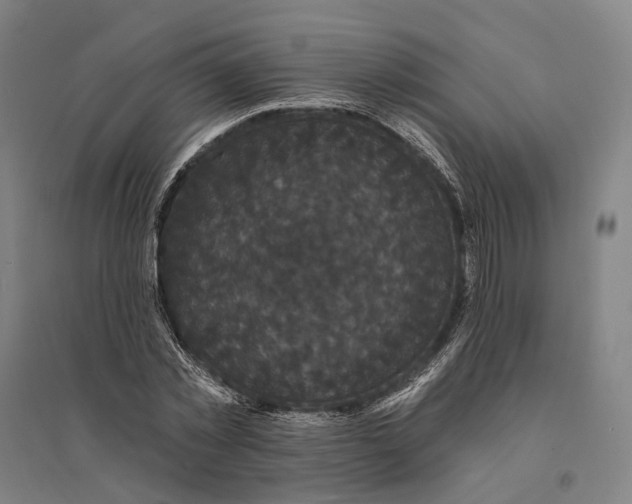 X0000095110781200712301735