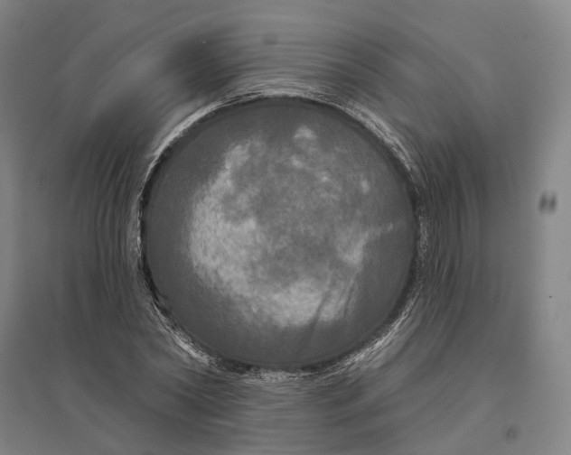 X0000095110782200712301735