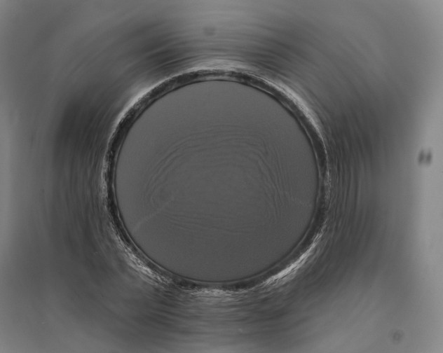 X0000095110783200712301735