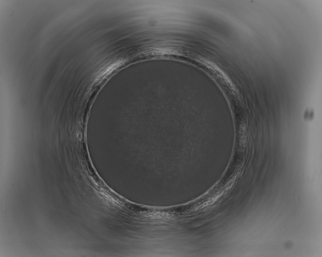 X0000095110785200712301735