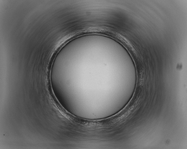 X0000095110786200712301735