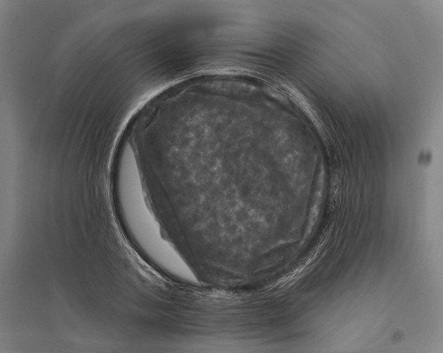 X0000095110787200712301735