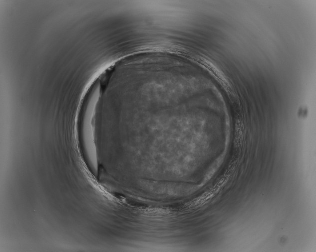 X0000095110788200712301735