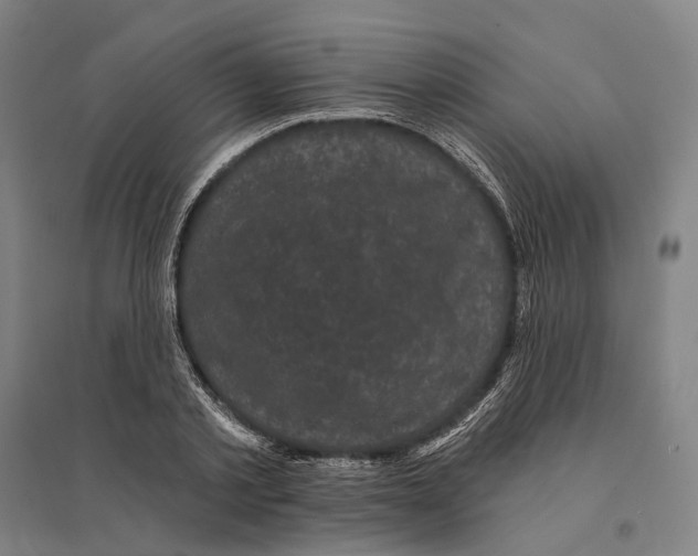 X0000095110789200712301735