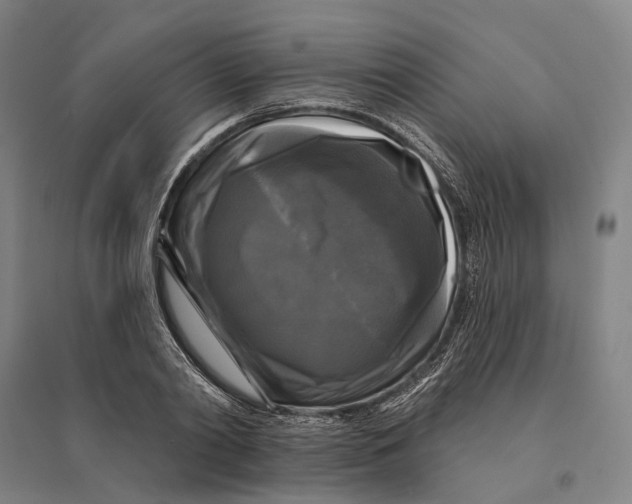 X0000095110790200712301735