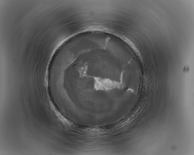 X0000095110791200712301735