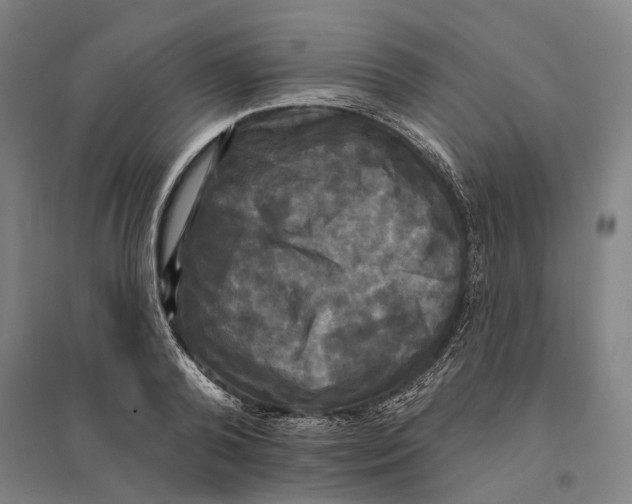 X0000095110792200712301735