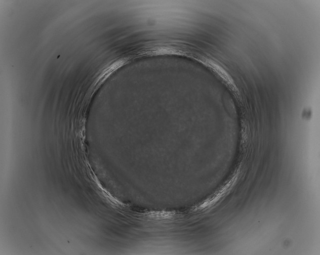 X0000095110793200712301735