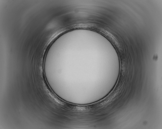 X0000095110794200712301735