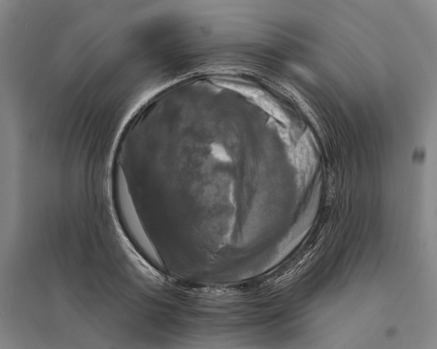 X0000095110795200712301735