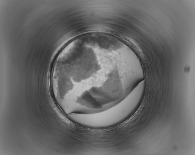 X0000095110796200712301735