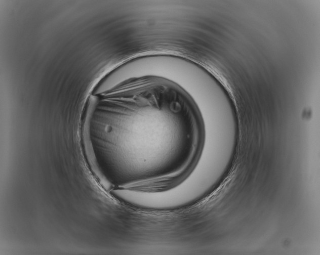 X0000095110797200712301735