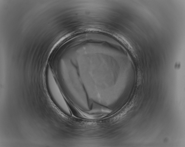 X0000095110798200712301735