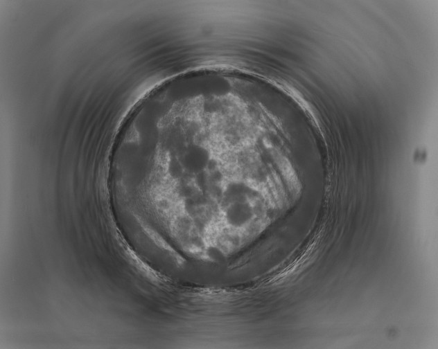 X0000095110799200712301735