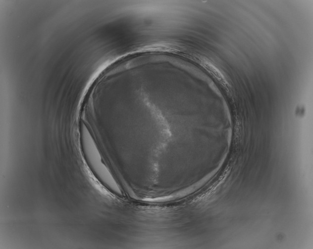 X0000095110800200712301735