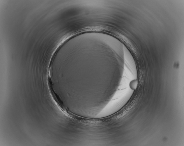 X0000095110802200712301735