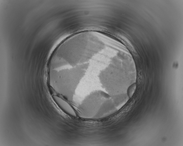 X0000095110804200712301735