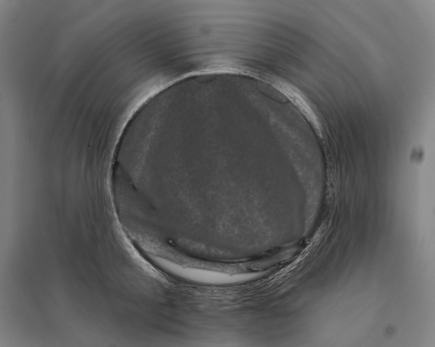 X0000095110805200712301735