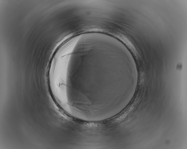 X0000095110806200712301735