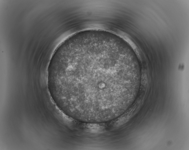 X0000095110807200712301735