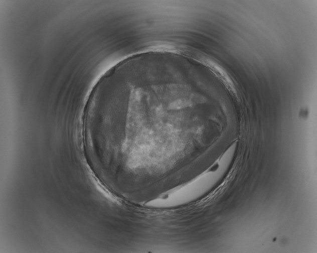 X0000095110808200712301735