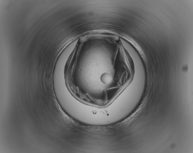 X0000095110809200712301735