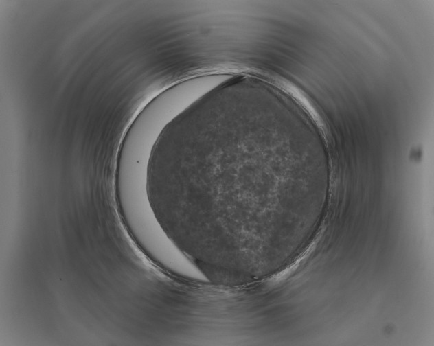 X0000095110810200712301735