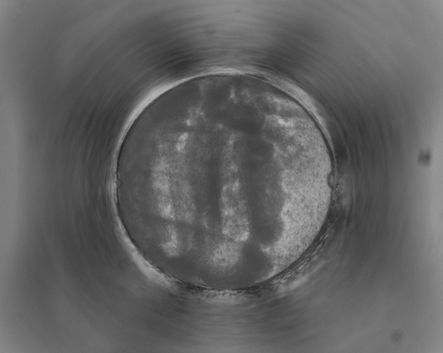 X0000095110811200712301735