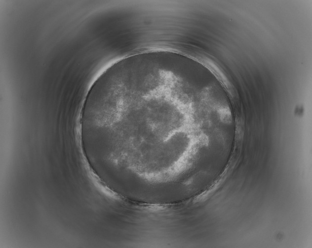 X0000095110814200712301735