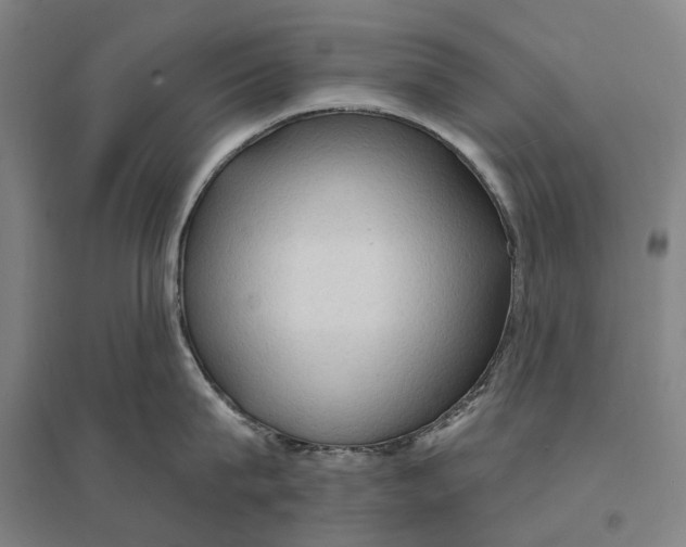 X0000095110815200712301735