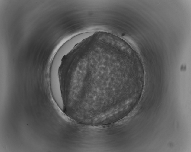 X0000095110816200712301735