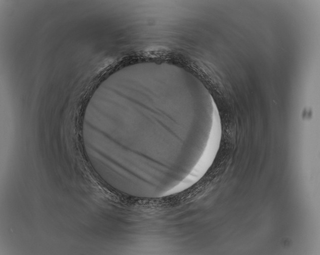 X0000095110817200712301734