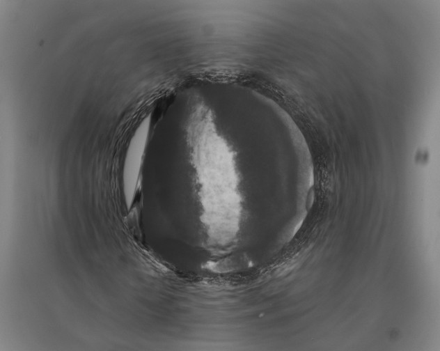 X0000095110818200712301734